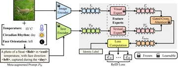 The Meta-Feature Adapter from MetaWild